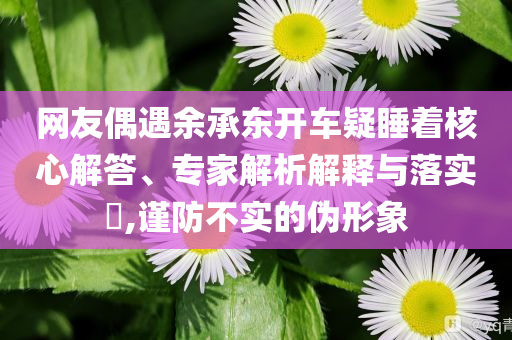 網(wǎng)友偶遇余承東開車疑睡著核心解答、專家解析解釋與落實(shí)?,謹(jǐn)防不實(shí)的偽形象