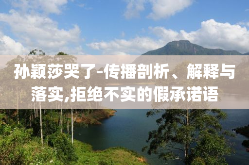 孫穎莎哭了-傳播剖析、解釋與落實,拒絕不實的假承諾語