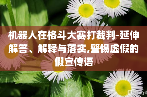機器人在格斗大賽打裁判-延伸解答、解釋與落實,警惕虛假的假宣傳語