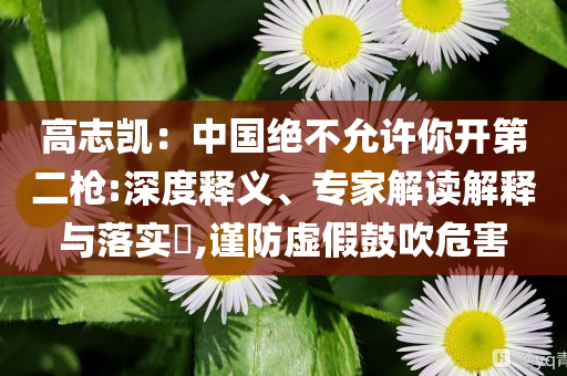 高志凱：中國(guó)絕不允許你開第二槍:深度釋義、專家解讀解釋與落實(shí)?,謹(jǐn)防虛假鼓吹危害