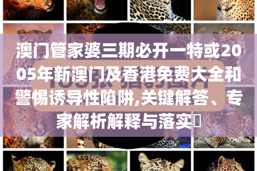 澳門管家婆三期必開一特或2005年新澳門及香港免費大全和警惕誘導(dǎo)性陷阱,關(guān)鍵解答、專家解析解釋與落實?
