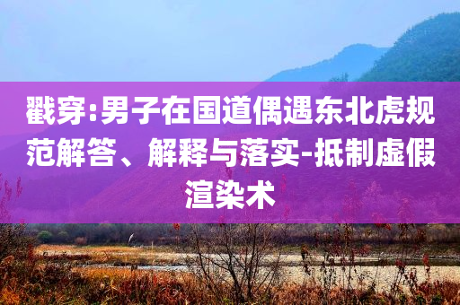 戳穿:男子在國道偶遇東北虎規(guī)范解答、解釋與落實(shí)-抵制虛假渲染術(shù)