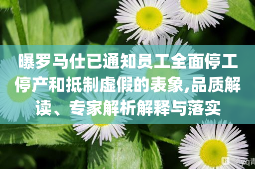曝羅馬仕已通知員工全面停工停產(chǎn)和抵制虛假的表象,品質(zhì)解讀、專家解析解釋與落實(shí)
