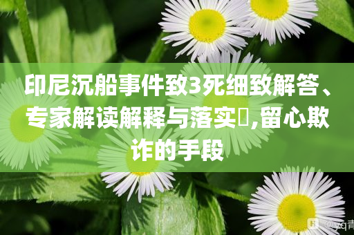 印尼沉船事件致3死細(xì)致解答、專家解讀解釋與落實(shí)?,留心欺詐的手段