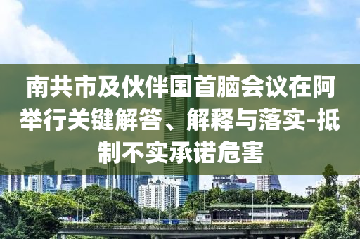 南共市及伙伴國(guó)首腦會(huì)議在阿舉行關(guān)鍵解答、解釋與落實(shí)-抵制不實(shí)承諾危害