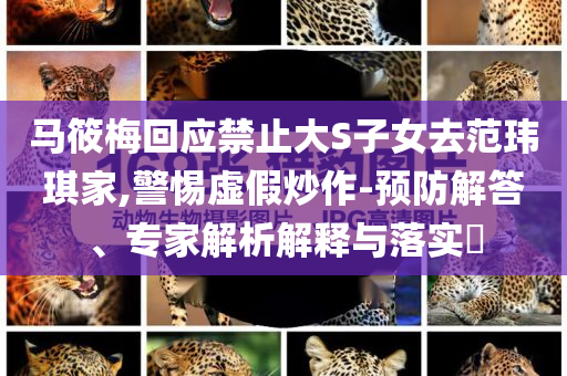馬筱梅回應禁止大S子女去范瑋琪家,警惕虛假炒作-預防解答、專家解析解釋與落實?