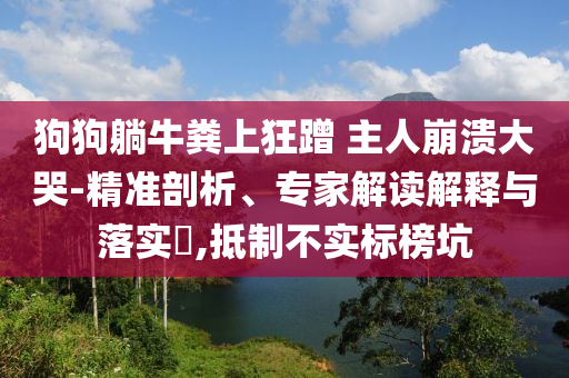 狗狗躺牛糞上狂蹭 主人崩潰大哭-精準(zhǔn)剖析、專(zhuān)家解讀解釋與落實(shí)?,抵制不實(shí)標(biāo)榜坑