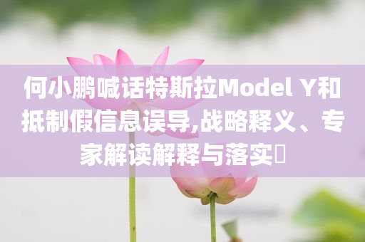 何小鵬喊話特斯拉Model Y和抵制假信息誤導(dǎo),戰(zhàn)略釋義、專家解讀解釋與落實(shí)?