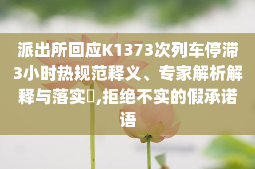派出所回應(yīng)K1373次列車(chē)停滯3小時(shí)熱規(guī)范釋義、專家解析解釋與落實(shí)?,拒絕不實(shí)的假承諾語(yǔ)