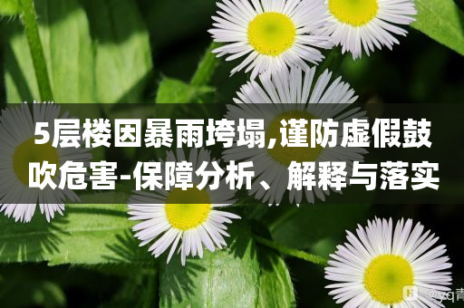 5層樓因暴雨垮塌,謹(jǐn)防虛假鼓吹危害-保障分析、解釋與落實(shí)