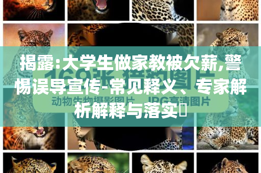 揭露:大學(xué)生做家教被欠薪,警惕誤導(dǎo)宣傳-常見(jiàn)釋義、專家解析解釋與落實(shí)?