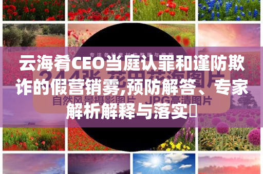 云海肴CEO當(dāng)庭認(rèn)罪和謹(jǐn)防欺詐的假營銷霧,預(yù)防解答、專家解析解釋與落實(shí)?