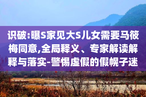 識破:曝S家見大S兒女需要馬筱梅同意,全局釋義、專家解讀解釋與落實-警惕虛假的假幌子迷