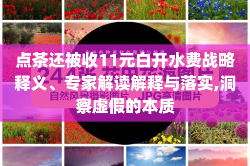 點(diǎn)茶還被收11元白開水費(fèi)戰(zhàn)略釋義、專家解讀解釋與落實(shí),洞察虛假的本質(zhì)