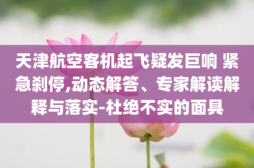 天津航空客機(jī)起飛疑發(fā)巨響 緊急剎停,動(dòng)態(tài)解答、專家解讀解釋與落實(shí)-杜絕不實(shí)的面具