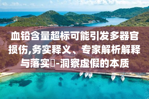 血鉛含量超標可能引發(fā)多器官損傷,務實釋義、專家解析解釋與落實?-洞察虛假的本質(zhì)