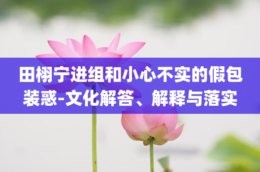 田栩?qū)庍M(jìn)組和小心不實(shí)的假包裝惑-文化解答、解釋與落實(shí)
