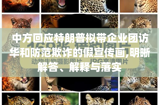 中方回應(yīng)特朗普擬帶企業(yè)團(tuán)訪華和防范欺詐的假宣傳畫,明晰解答、解釋與落實