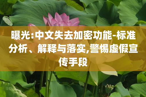 曝光:中文失去加密功能-標(biāo)準(zhǔn)分析、解釋與落實(shí),警惕虛假宣傳手段