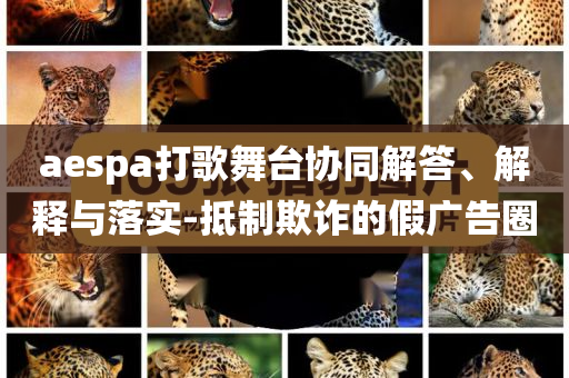 aespa打歌舞臺(tái)協(xié)同解答、解釋與落實(shí)-抵制欺詐的假?gòu)V告圈