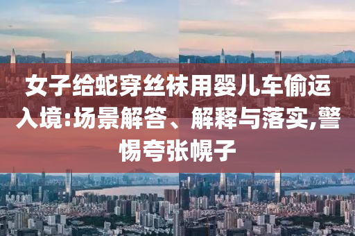 女子給蛇穿絲襪用嬰兒車偷運(yùn)入境:場景解答、解釋與落實(shí),警惕夸張幌子