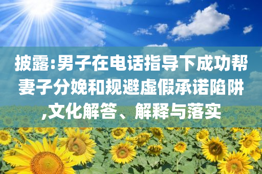 披露:男子在電話指導(dǎo)下成功幫妻子分娩和規(guī)避虛假承諾陷阱,文化解答、解釋與落實(shí)
