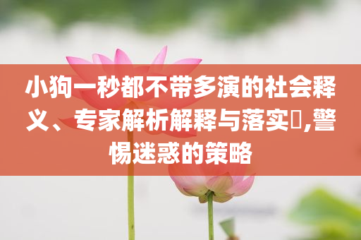 小狗一秒都不帶多演的社會(huì)釋義、專家解析解釋與落實(shí)?,警惕迷惑的策略