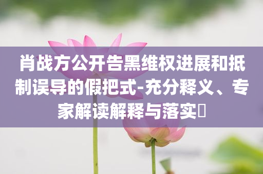 肖戰(zhàn)方公開告黑維權(quán)進(jìn)展和抵制誤導(dǎo)的假把式-充分釋義、專家解讀解釋與落實?