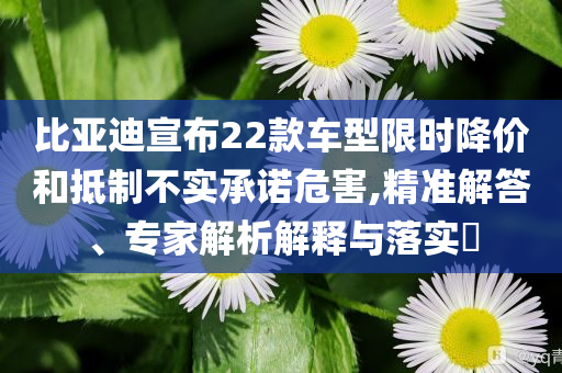 比亞迪宣布22款車型限時降價和抵制不實承諾危害,精準解答、專家解析解釋與落實?