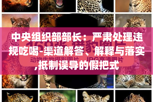中央組織部部長：嚴肅處理違規(guī)吃喝-渠道解答、解釋與落實,抵制誤導的假把式