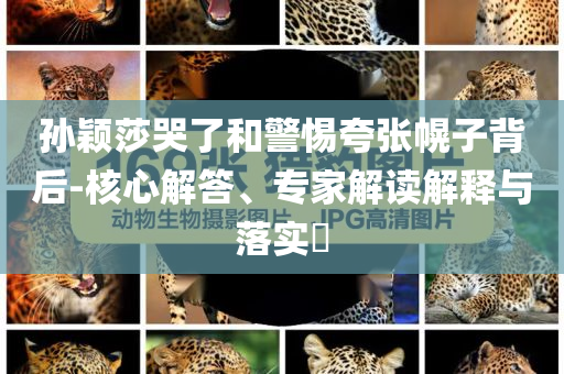 孫穎莎哭了和警惕夸張幌子背后-核心解答、專家解讀解釋與落實(shí)?
