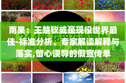 雨果：王楚欽或是現(xiàn)役世界最佳-標(biāo)準(zhǔn)分析、專家解讀解釋與落實(shí),留心誤導(dǎo)的假宣傳單