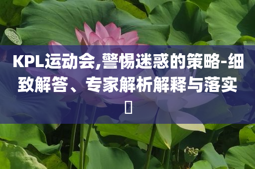 KPL運(yùn)動會,警惕迷惑的策略-細(xì)致解答、專家解析解釋與落實(shí)?