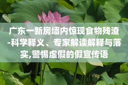 廣東一新房墻內(nèi)驚現(xiàn)食物殘?jiān)?科學(xué)釋義、專家解讀解釋與落實(shí),警惕虛假的假宣傳語