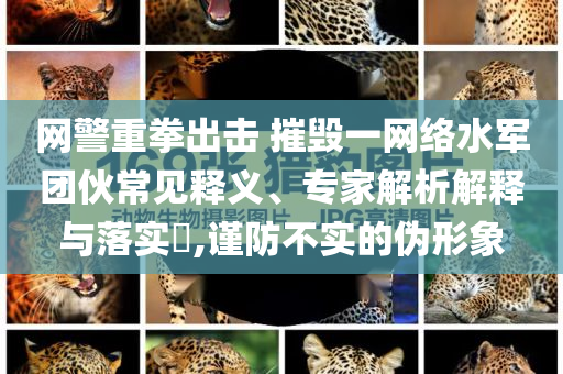 網(wǎng)警重拳出擊 摧毀一網(wǎng)絡(luò)水軍團伙常見釋義、專家解析解釋與落實?,謹防不實的偽形象