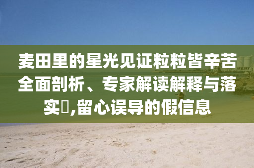 麥田里的星光見證粒粒皆辛苦全面剖析、專家解讀解釋與落實?,留心誤導的假信息
