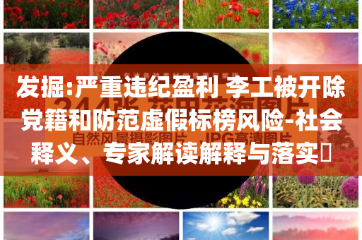 發(fā)掘:嚴(yán)重違紀(jì)盈利 李工被開除黨籍和防范虛假標(biāo)榜風(fēng)險-社會釋義、專家解讀解釋與落實?