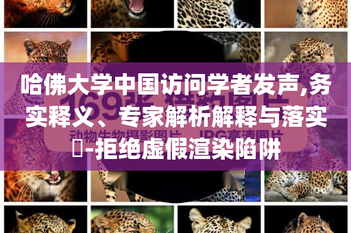 哈佛大學(xué)中國(guó)訪(fǎng)問(wèn)學(xué)者發(fā)聲,務(wù)實(shí)釋義、專(zhuān)家解析解釋與落實(shí)?-拒絕虛假渲染陷阱