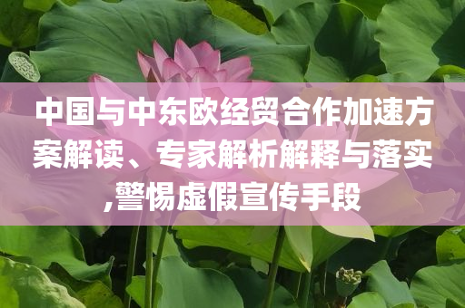 中國與中東歐經貿合作加速方案解讀、專家解析解釋與落實,警惕虛假宣傳手段