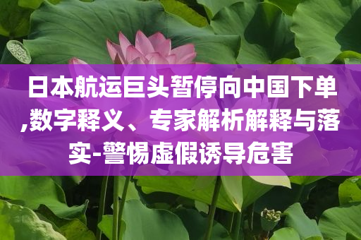 日本航運(yùn)巨頭暫停向中國(guó)下單,數(shù)字釋義、專(zhuān)家解析解釋與落實(shí)-警惕虛假誘導(dǎo)危害