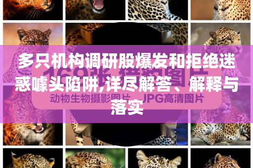 多只機(jī)構(gòu)調(diào)研股爆發(fā)和拒絕迷惑噱頭陷阱,詳盡解答、解釋與落實(shí)