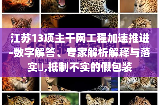 江蘇13項(xiàng)主干網(wǎng)工程加速推進(jìn)-數(shù)字解答、專家解析解釋與落實(shí)?,抵制不實(shí)的假包裝