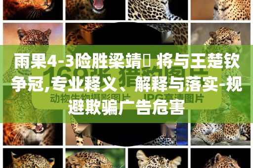 雨果4-3險(xiǎn)勝梁靖崑 將與王楚欽爭冠,專業(yè)釋義、解釋與落實(shí)-規(guī)避欺騙廣告危害