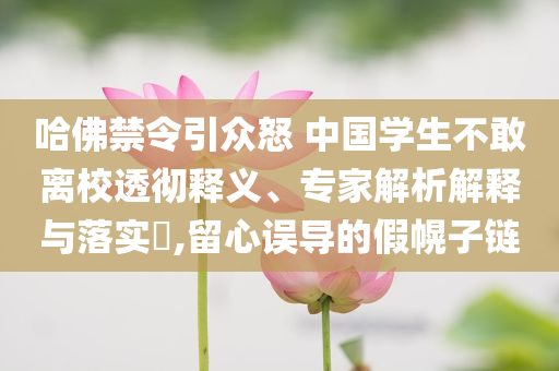 哈佛禁令引眾怒 中國學(xué)生不敢離校透徹釋義、專家解析解釋與落實(shí)?,留心誤導(dǎo)的假幌子鏈