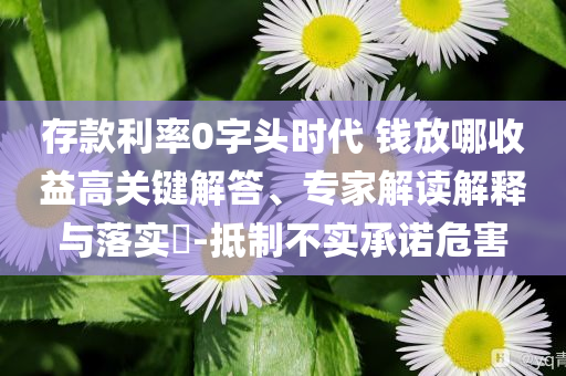 存款利率0字頭時(shí)代 錢放哪收益高關(guān)鍵解答、專家解讀解釋與落實(shí)?-抵制不實(shí)承諾危害