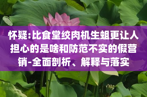 懷疑:比食堂絞肉機(jī)生蛆更讓人擔(dān)心的是啥和防范不實(shí)的假營(yíng)銷-全面剖析、解釋與落實(shí)