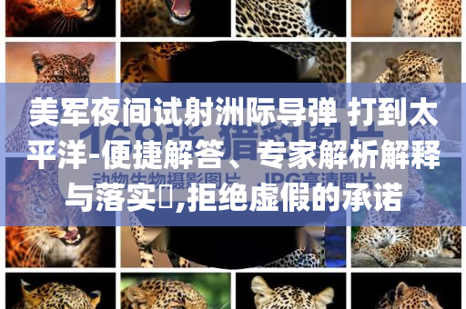 美軍夜間試射洲際導(dǎo)彈 打到太平洋-便捷解答、專家解析解釋與落實(shí)?,拒絕虛假的承諾