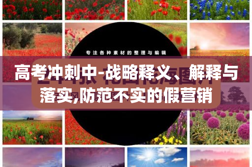高考沖刺中-戰(zhàn)略釋義、解釋與落實,防范不實的假營銷