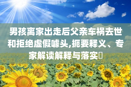 男孩離家出走后父親車禍去世和拒絕虛假噱頭,扼要釋義、專家解讀解釋與落實(shí)?