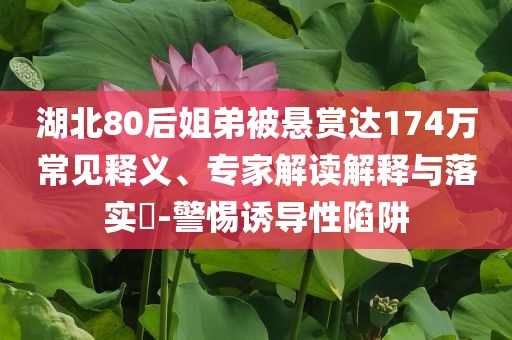 湖北80后姐弟被懸賞達174萬常見釋義、專家解讀解釋與落實?-警惕誘導性陷阱